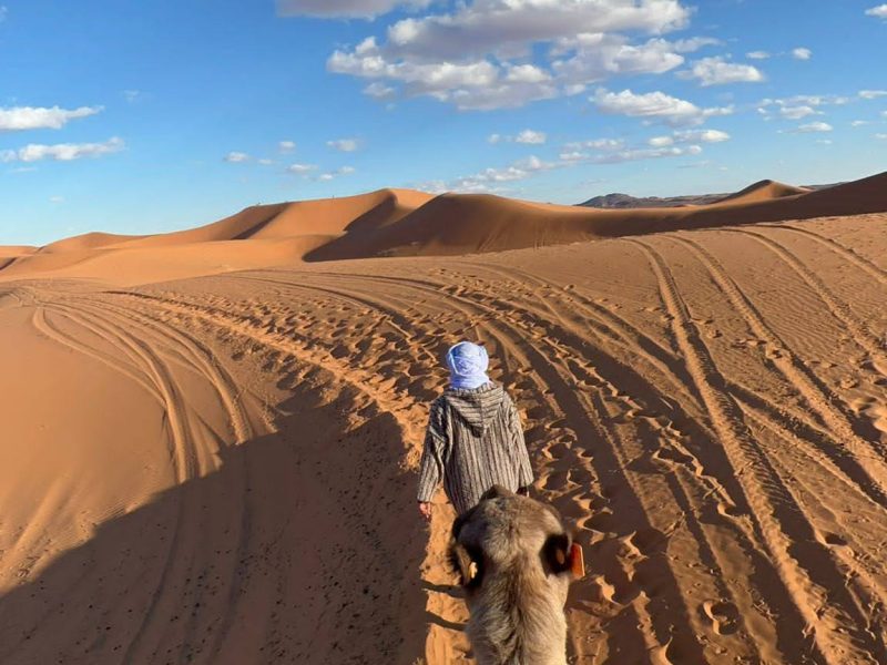 20767404-909d-43a7-bf3d-9844d59774ea