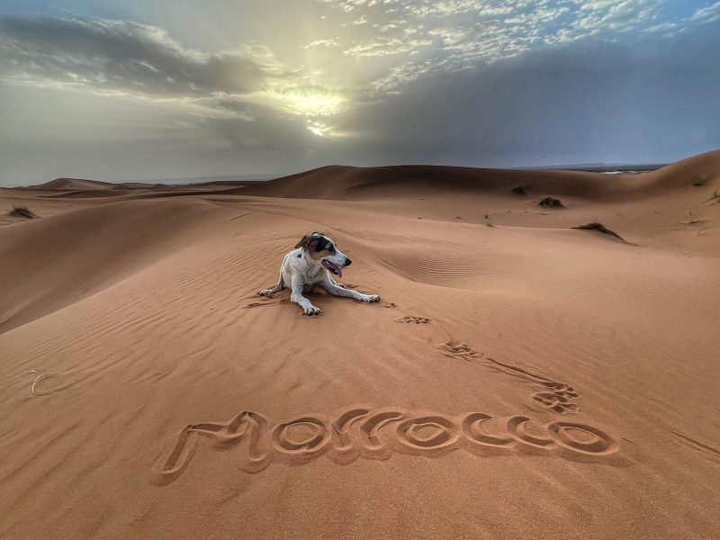 94057728-221d-44d4-9869-75fc1006f180